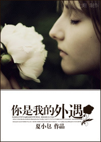 你是我的外遇封面