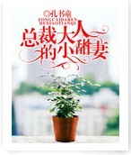 总裁大人的小甜妻 总裁大人的小甜妻