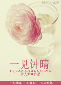 一见钟晴封面