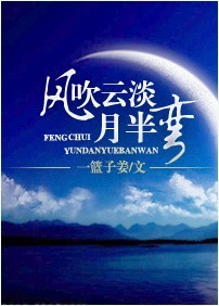 风吹云淡月半弯封面