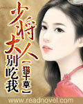 少将大人,别惹我封面