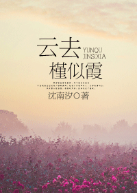 云去槿似霞封面