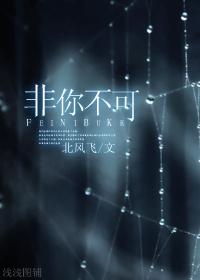 非你不可封面
