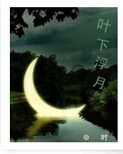 叶下浮月封面