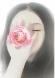 ��Ϧ�л�����