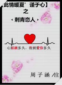 此情暖夏谨于心封面