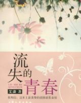 流失的青春封面