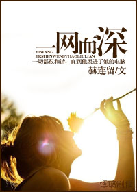 一网而深封面