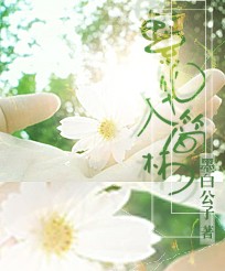 繁华入简林封面