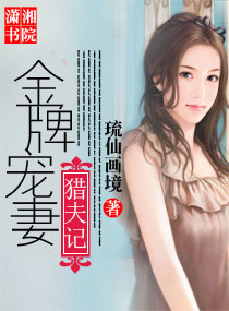 金牌宠妻猎夫记封面