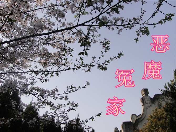 恶魔冤家 恶魔冤家