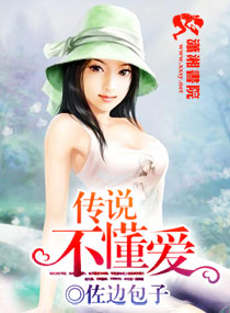 ��˵������