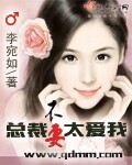 总裁不要太爱我 总裁不要太爱我
