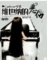 维也纳的悲伤封面