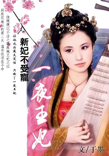 新妃不进宫:一夜王妃封面