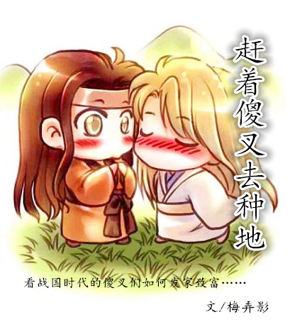 赶着傻叉去种地封面