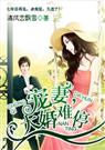 宠妻,大婚难停封面