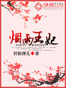 烟雨王妃封面