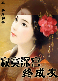 寂寞深宫终成灰封面