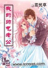 我的帅气老公封面