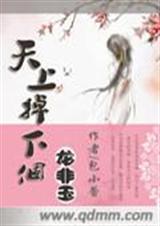 天上掉下个龙非玉封面