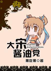 大宋酱油党 大宋酱油党