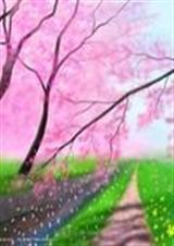 综漫妄想爱神 综漫妄想爱神