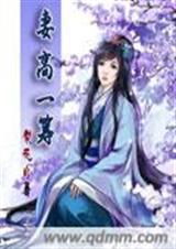 妻高一筹 完整版封面