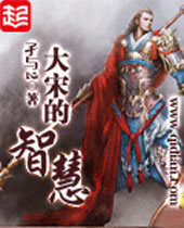 大宋的智慧 大宋的智慧