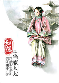(红楼同人)红楼之当家太太封面