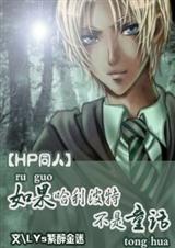 HP之如果哈利波特不是童话封面