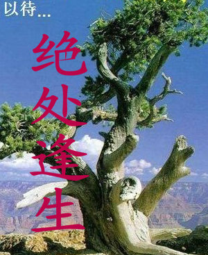 绝处逢生 绝处逢生