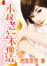 小叔老公不像话封面