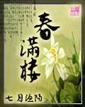 春满楼封面
