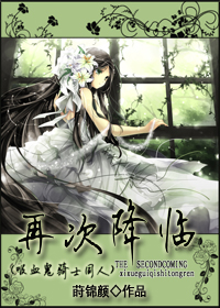 再次降临(吸血鬼骑士同人)封面