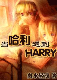 (HP)当哈利遇到HARRY封面