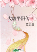 大唐平阳传封面