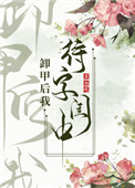 卸甲后我待字闺中封面