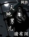 网游之天地男儿封面