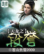 天龙之段誉封面