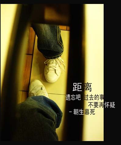 夫君争着要我宠封面