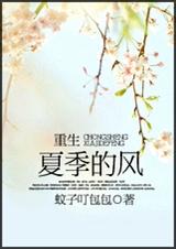 重生 夏季的风封面