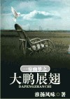 一帘幽梦之大鹏展翅封面