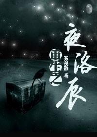 重生之夜洛辰封面