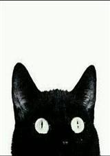 弃妇重生:嫡女斗宅门 弃妇重生:嫡女斗宅门