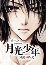 重生之月光少年封面