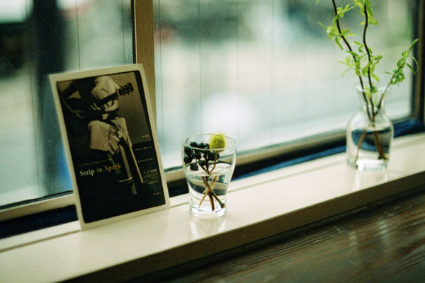 ����֮����