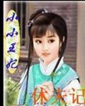 小小王妃休夫记封面