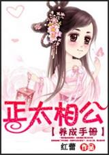 正太相公养成手册封面