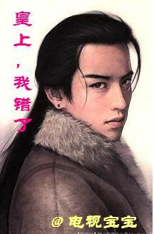 皇上,我错了封面